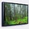 Designart - Hoh Rain Forest - Landscape Photography Framed Canvas Art Print